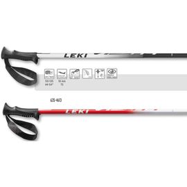 Палки лыж Vista