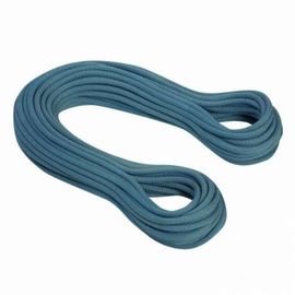 Веревка Mammut ETERNITY DRY 9.8 mm 60 м