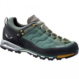 Кроссовки Salewa MS MTN Trainer