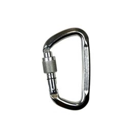 Карабин Climbing Technology 2C47600 XTB D-Shape SG