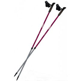 Палки для скандинавской ходьбы Tramp Fitness