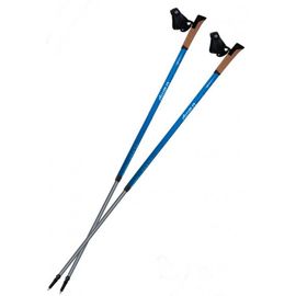Палки для скандинавской ходьбы Tramp Flash