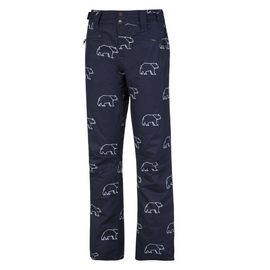 Брюки лыжные женские Protest Nabesna