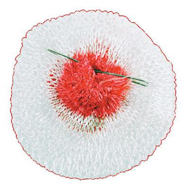 Сеточка для лампы F-200 mantle for 500 gr Lamp