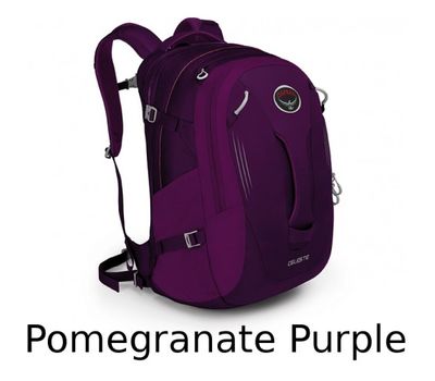 Рюкзак Celeste 29