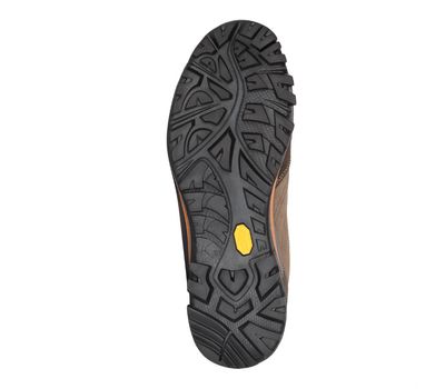 Ботинки AKU Alterra GTX