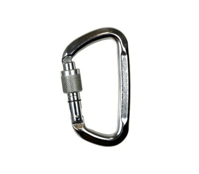 Карабин Climbing Technology 2C47600 XTB D-Shape SG