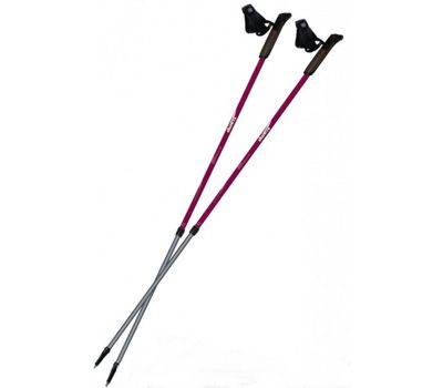 Палки для скандинавской ходьбы Tramp Fitness