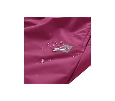 Штаны Alpine Pro Sesto 3 Ins