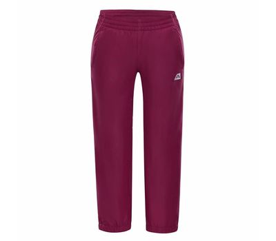 Штаны Alpine Pro Sesto 3 Ins