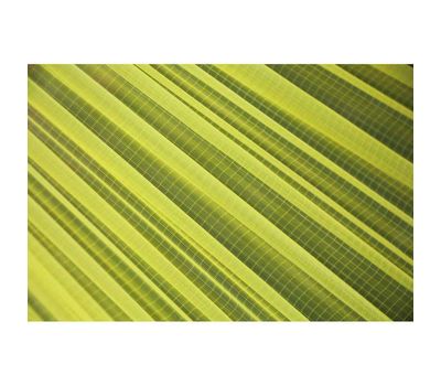 Гамак Sea To Summit Hammock Ultralight Single XL