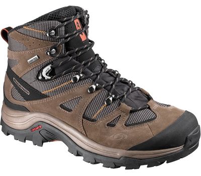 Ботинки Salomon Discovery GTX