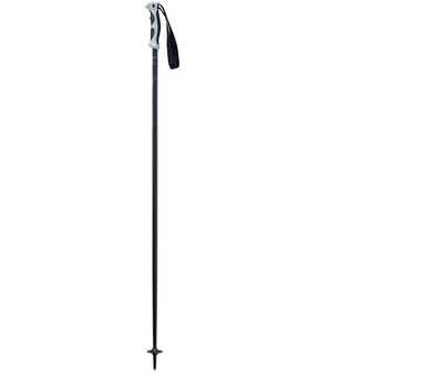 Лыжные палки Elan sp Magic